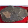 Image 4 : Box of Six Flint Artifacts