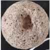 Image 4 : Paint Mortar and Bell Pestle
