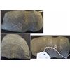 Image 2 : Three grooved stone tools