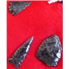 Image 3 : Collection of Columbia River Points