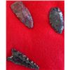 Image 7 : Collection of Columbia River Points