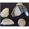Image 8 : Box of 12 Anasazi artifacts