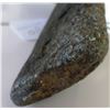 Image 10 : Giant Stone Celt