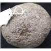 Image 7 : California Mortar and Pestle.