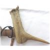 Image 2 : Beaded Native American Antler Pipe