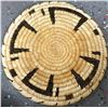 Image 4 : Papago Tray