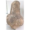 Image 3 : Fossil Ammonite