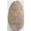 Image 5 : Fossil Ammonite