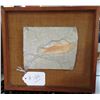 Image 1 : Framed Fossil Fish