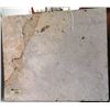Image 5 : Fossil Fish