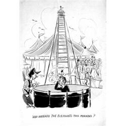 Michael Senich: Who watered the elephants?        
