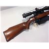 Image 2 : Remington 535 (.22 LR/SR ) w/ SCOPE