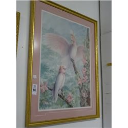 Framed "Parrots In Jungle"