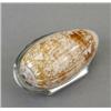Image 1 : An early 19th century silver coloured metal mounted shell snuffbox, - An early 19th century silv...