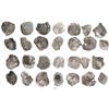 Image 1 : Lot of 14 Potosi, Bolivia, cob 2 reales, Philip III, assayers not visible, all Grade 4.