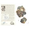 Image 2 : Clump of 4 silver coins (Mexican 8R cob and English halfcrown, shilling and sixpence) and lead muske