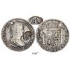 Image 1 : Mexico, oval "YRNO"(?) countermark on a Potosi, Bolivia, bust 8 reales, Ferdinand VII, 1823PJ, very