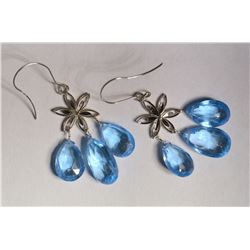 14kt Gold & Blue Topaz Earrings MSRP $1154