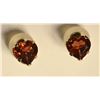 Image 1 : 14kt Gold Garnet Earrings