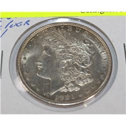 GEM UNC M564 1921 MORGAN SILVER DOLLAR