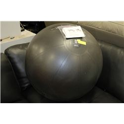 EXERCISE BALL