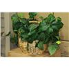 Image 1 : ARTIFICIAL PLANT WITH BASKET