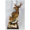 Image 1 : LARGE DEER HEAD