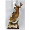 Image 1 : LARGE DEER HEAD