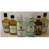 Image 1 : LOT OF 6 LIQUORS 375ML