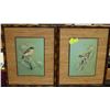 Image 1 : 2 VINTAGE TERANCE JAMES BOND FRAMED BIRD PRINTS