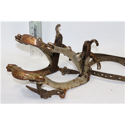 ANTIQUE FARRIER TOOTH FILING BRIDLE