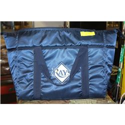 LOGO ICE-MAX WITH THERMA COLD TECHNOLOGY 24 PACK