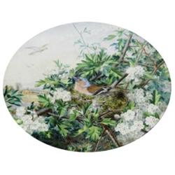 John Sowden (1838 - 1926), - John Sowden (1838 - 1926), Springtime, a male chaffinch on its nest...