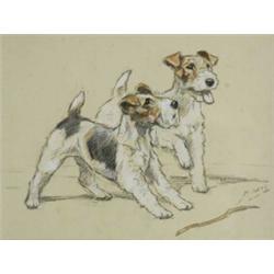 Mabel Gear (b. 1900), - Mabel Gear (b. 1900), Study Of A Wirehaired Terrier, signed, 9in x 6.75i...