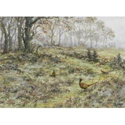 George Edward Lodge (1860 - 1954), - George Edward Lodge (1860 - 1954), Early Autumn, cock and h...