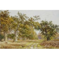 James Walsham Baldock (c.1822 - 1898), - James Walsham Baldock (c.1822 - 1898), Autumn In Sherwo...