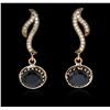 Image 1 : SILVER 18.24ctw Blue Crystal and Cubic Zirconia Earrings