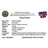 Image 2 : 11.34ctw Fancy Ruby Parcel