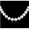 Image 2 : 14KT White Gold Pearl Necklace