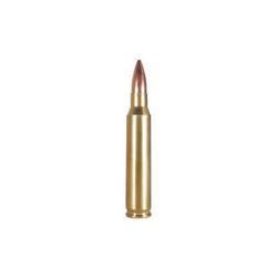 (AMMO) ARMSCOR 223REM 55GR PSP (125 ROUNDS) 812285021898