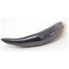 Image 2 : WATER BUFFALO COW HORN - POLISHED