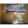 Image 1 : 1999-P & D SBA DOLLAR UNC COIN SET ORIGINAL US MINT PACKAGING