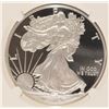Image 2 : 2012-W PROOF SILVER AMERICAN EAGLE NGC PF-69 UC (EARLY RELEASE)