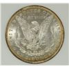 Image 3 : 1884-O MORGAN SILVER DOLLAR, NGC MS-63