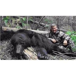 Vancouver Island Coastal Bear Adventures – British Columbia – Black Bear