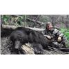 Image 1 : Vancouver Island Coastal Bear Adventures – British Columbia – Black Bear