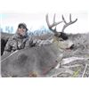 Image 1 : Alaska:  Kodiak Safaris:  Sitka Blacktail Deer and Caribou