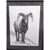 Image 1 : Big Horn Sheep by Hunter Adams