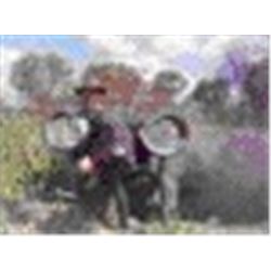 Argentina – Anuritay Game Ranch – Russian Boar, Ram, Goat