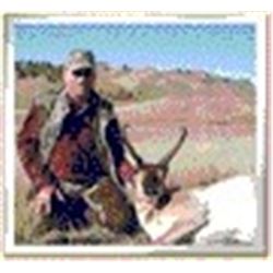 Montana:  Bear Paw Hunts – Antelope Hunt